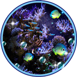 Neon Aquarium Fish live wallpaper