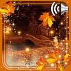 Autumn Twinkle Lights آئیکن