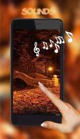 Autumn Twinkle Lights الملصق