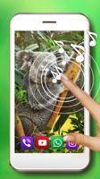 Bear Koala Live Wallpaper poster