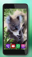 Bear Koala Live Wallpaper screenshot 3