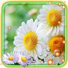 Camomiles LWP আইকন