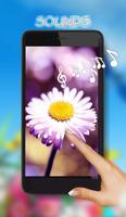 Camomiles LWP পোস্টার