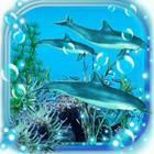 Dolphins Sounds آئیکن