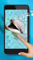 Dolphins Sounds Plakat
