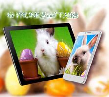 Easter Bunny Cute Affiche