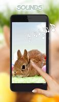 Easter Bunny Cute capture d'écran 1