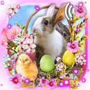Easter Baskets APK