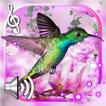 ”Hummingbirds Sounds LWP