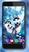 2 Schermata Husky Dogs