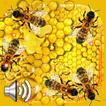 Honig und Biene Lebe Tapete