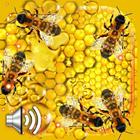 Honig und Biene Lebe Tapete Zeichen