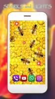 Honey and Bee syot layar 2