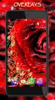 Roses Diamond Dew ảnh chụp màn hình 3