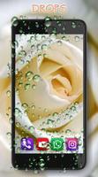 Roses Diamond Dew capture d'écran 2