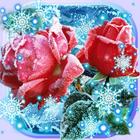 Roses Snow Winter biểu tượng