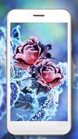 1 Schermata Roses Snow Winter