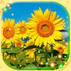 Sunflowers Live Wallpaper icono