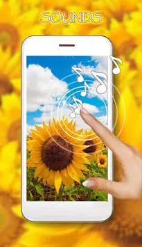 Sonnenblumen Lebe Tapete for Android - APK Download