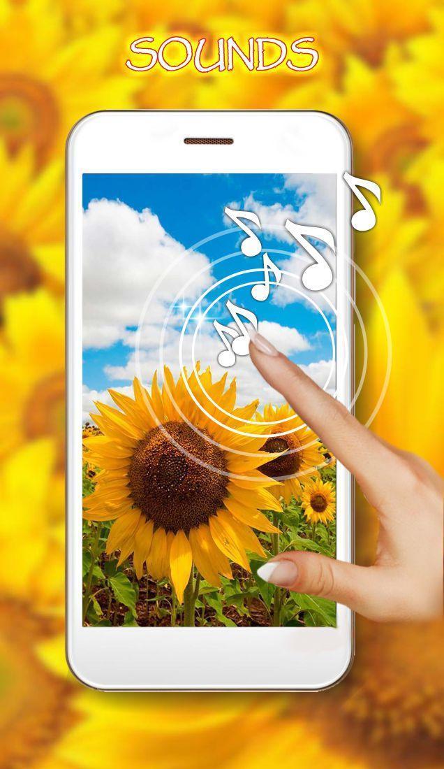 Descarga de APK de Sunflowers para Android