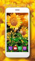Sunflowers Live Wallpaper captura de pantalla 2