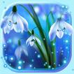 Snowdrops Blue Live Wallpaper