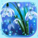 Snowdrops Blue Live Wallpaper APK