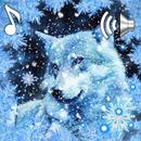 Wild Wolf HD Live Wallpaper APK