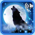 Wolf Moon Song