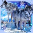Wolves Winter APK