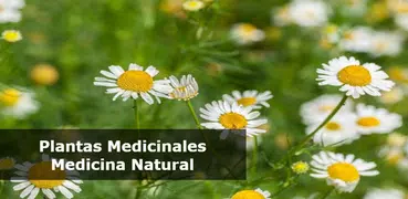 Plantas Medicinales y Remedios