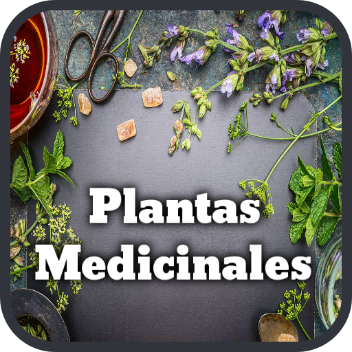 Plantas Medicinales y Remedios