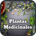 Plantas Medicinales アイコン