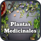 Plantas Medicinales ไอคอน