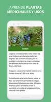 Plantas Medicinales الملصق