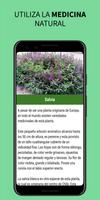 Medicinal Plants and Remedies screenshot 2