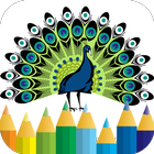 peacock coloring book icon