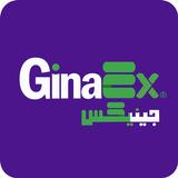 GinaEx - Travel & Shipping aplikacja