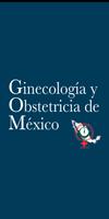 Ginecología y Obstetricia Mx Affiche