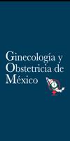 Ginecología y Obstetricia Mx Poster