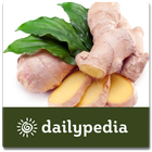 Ginger - Magic Herb Daily ikona