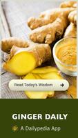 Ginger - Magic Herb Daily پوسٹر