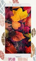 Autumn Wallpapers and Backgrounds HD Affiche