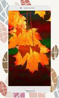 Autumn Wallpapers and Backgrounds HD capture d'écran 1