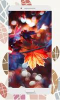 Autumn Wallpapers and Backgrounds HD capture d'écran 2