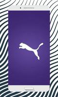 Puma Wallpapers and Backgrounds HD Cartaz
