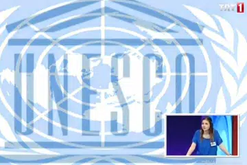 Giniko TV - Watch Live TV APK download