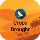 เช็คแล้ง aplikacja