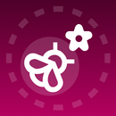 Insect ID: Bug Identifier AI APK