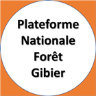 Plateforme Nat. Forêt-Gibier icône